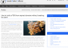 Photo for domain hunter gatherer