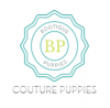Photo for Bootique Puppies