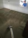 Photo for Carpet and Window Solutions