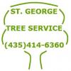 Photo for St. George Tree Service
