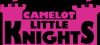 Photo for Little Knights