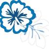Photo for Aloha Print Group