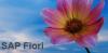 Photo for SAP Fiori
