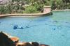 Photo for Goodyear Pool Cleaning