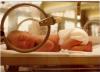 Photo for Newborn Warm Equipment Market 2021 Insights through Development policies and plans