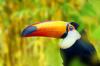 Photo for Beach Homes Location In Costa Rica