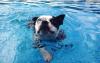 Photo for Fullerton's Best Pool Service & Repair