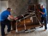 Photo for Sac Area Movers