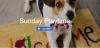 Photo for Pet Recess Inc
