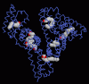 Photo for Human Albumin Industry booms 2021