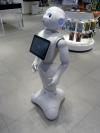 Photo for Japan Service Robot Market Research 2021 - Industry Sales, Analysis, Growth Rate and Demand