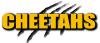 Photo for Cheetahs Gentlemen's Club