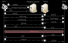 Photo for Secure Web Gateway Market, 2016 – Industry Survey, Market Size, Competitive Trends: Reseach Beam