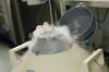 Photo for Accomplish Your Parenthood With Egg Donation Process