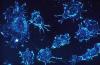Photo for Cell Analysis Market – Improved Treatment Of  Various Diseases To Present New Growth Opportunities