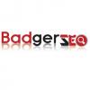 Photo for Badger SEO