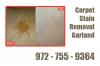 Photo for Carpet Stain Removal Garland
