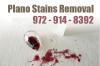 Photo for Plano Stains Removal