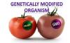 Photo for Genetically Modified Organisms Market: Value Share, Supply Demand, share and Value Chain 2015-2020