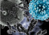 Photo for Bispecific Antibodies Market: Analysis, Segments, Growth and Value Chain 2015-2020