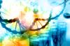 Photo for Five Primary Principals that Define Functional Medicine