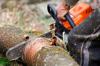 Photo for Chatt Town Tree Service