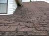 Photo for Dallas Roofing Experts