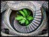 Photo for spiral staircase