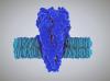 Photo for Lipase Market: Rising health awareness of animal drives the market by 2015 - 2020