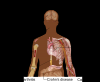 Photo for Frontier Pharma: Gastric Cancer - Early Stage Pipeline Innovation Shows Shift Towards Targeted mAbs