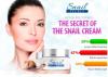 Photo for Snail Secret Lotion| Avoir une belle peau!