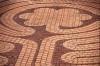 Photo for Brick patio