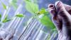 Photo for Green & Bio-based Solvents Market: Growth, Trends, Forecast and Value Chain 2015-2021