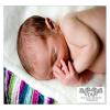 Photo for Diego Molina Photo