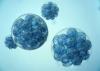 Photo for Brazil Biomaterials Market - Biomedical device that treats any organ of body: Evolving Technology, Trends and Industry Analysis – 2018