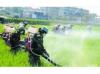 Photo for Global Herbicides Market Size, Growth, And Industry Analysis from 2016-2021