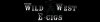 Photo for Wild West E-Cigs