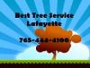 Photo for Best Tree Service Lafayette