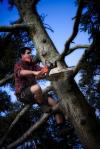 Photo for Tree Service Surprise
