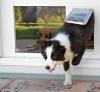 Photo for Pet door installation