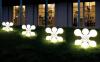 Photo for Global Market Size of Solar Lamp ,Competition by Manufacturers, Type and Application & Market Forecast (2016-2021)