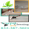 Photo for Carpet Cleaning Spring