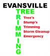 Photo for Tree Trimming Evansville