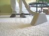 Photo for Extremely Professional Carpet Cleaners