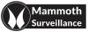 Photo for Mammoth Surveillance Camera Systems