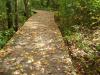 Photo for Heckrodt Wetland Reserve - Your Nature Center for All Seasons