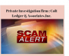 Photo for Avoid Frauds with Colt Ledger & Associates Inc