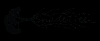 Photo for Shade Tree Sunglasses