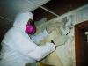 Photo for Mold remediation specialist in Delaware