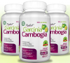 Photo for Perfect Garcinia Cambogia- Stay Active And Fit !
